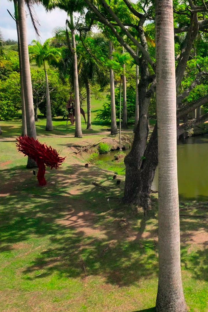 Сады Мартиники