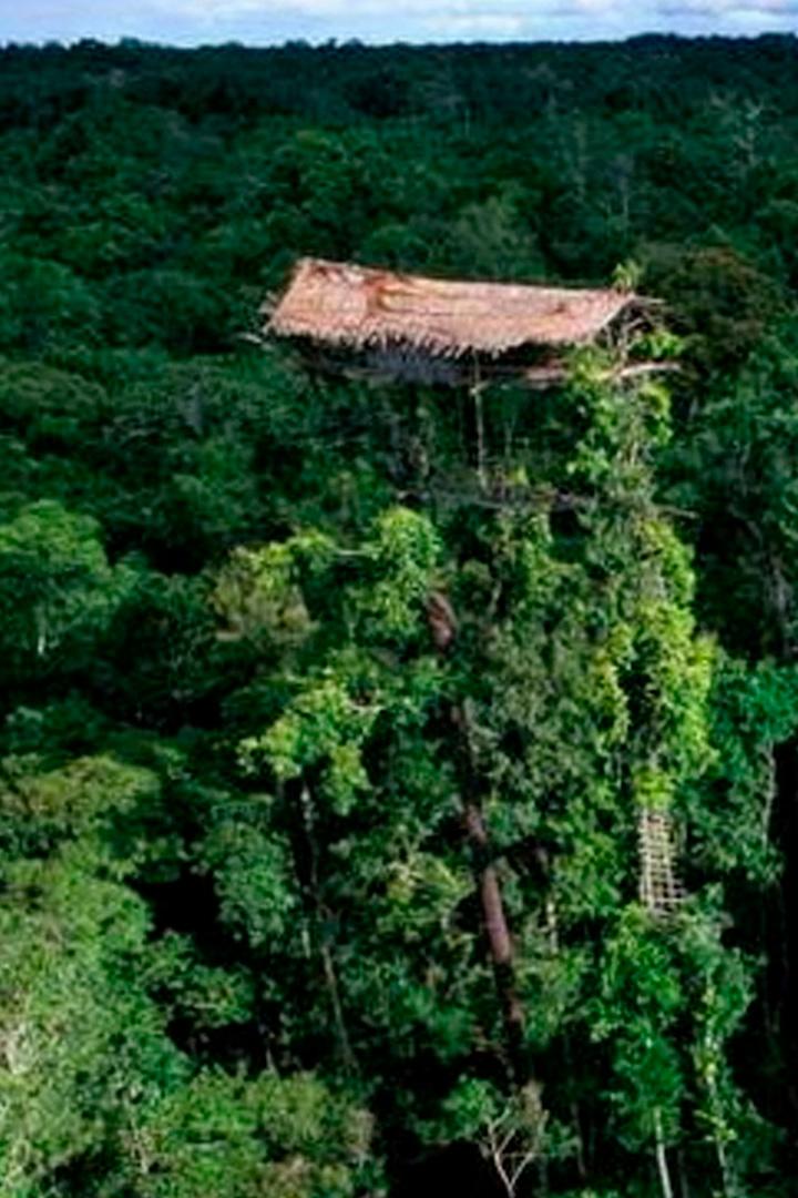 Дом вождя короваи в Западном Папуа