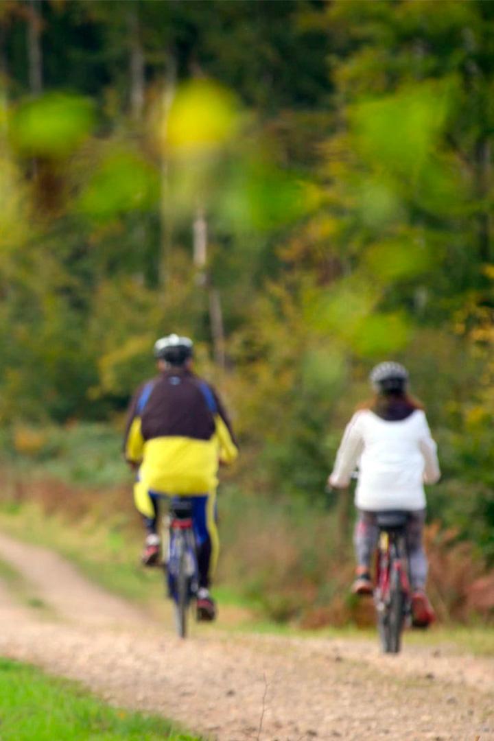 Пэи де Брей в Нормандии