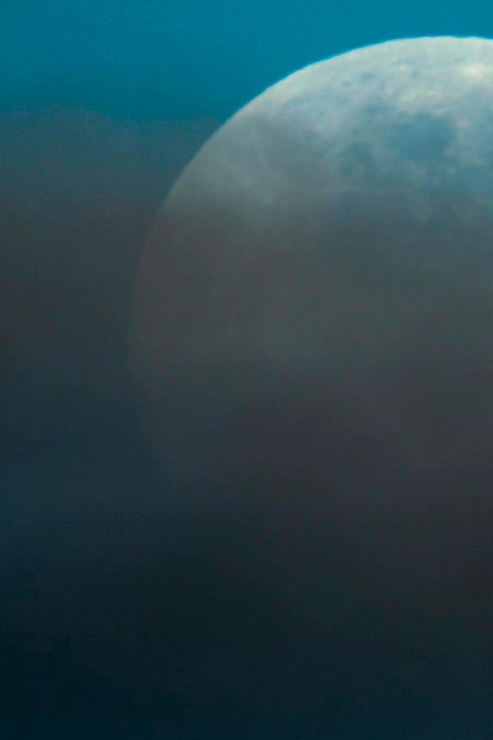 Образ жизни скотоводов в Новой Каледонии