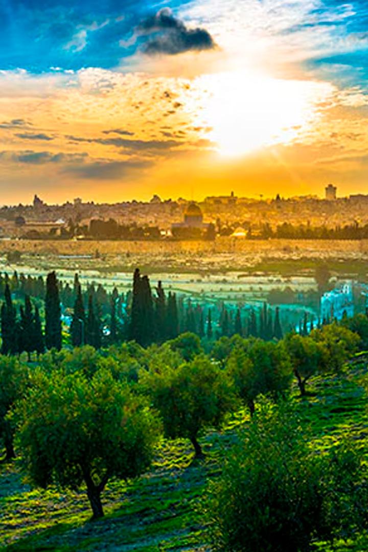 Масли́чная гора в Израиле