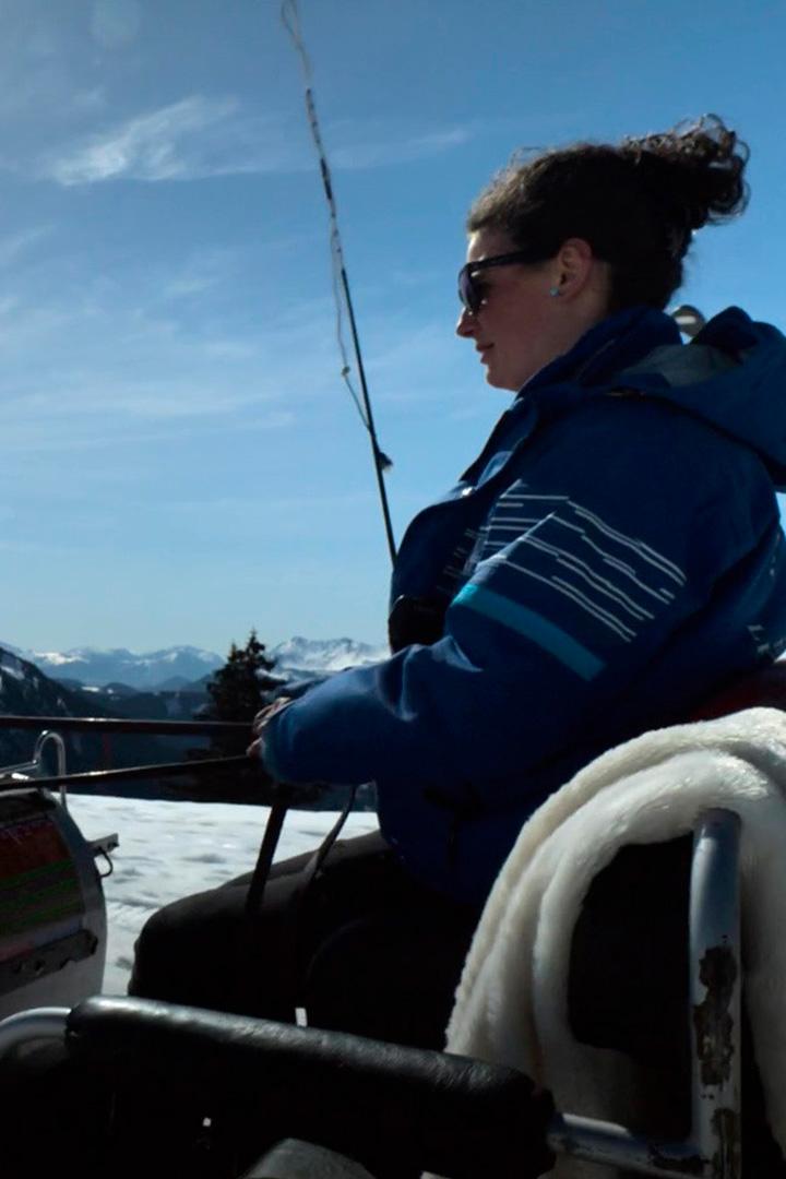 Альпийский извозчик