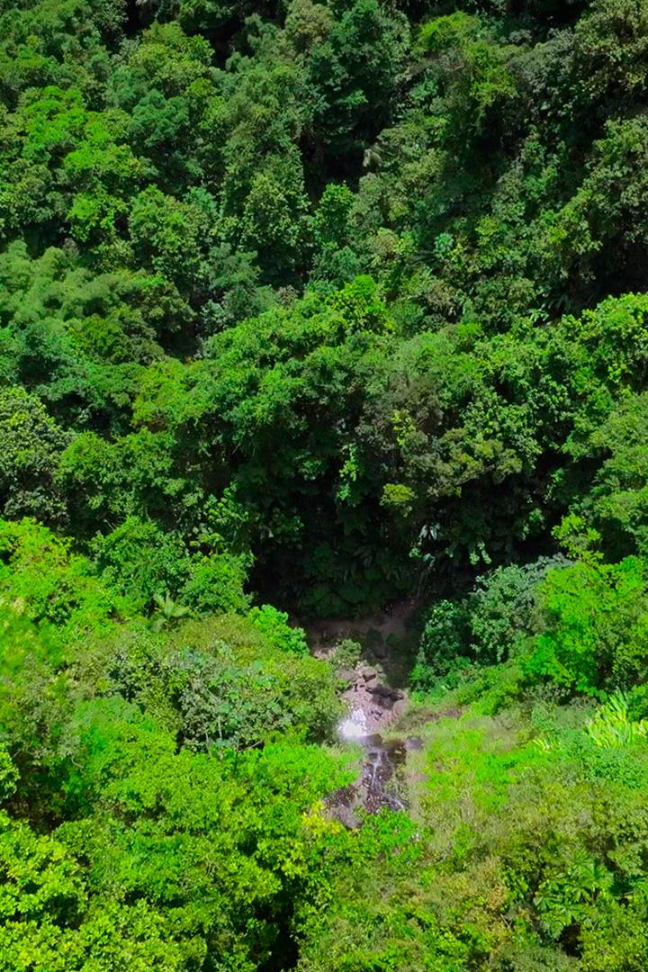 Водопад "Со Жандарм" на Мартинике