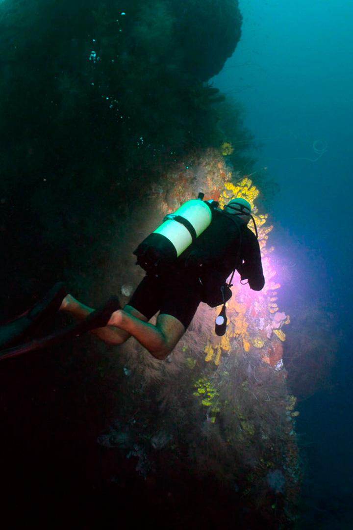 Затонувшие корабли Мартиники