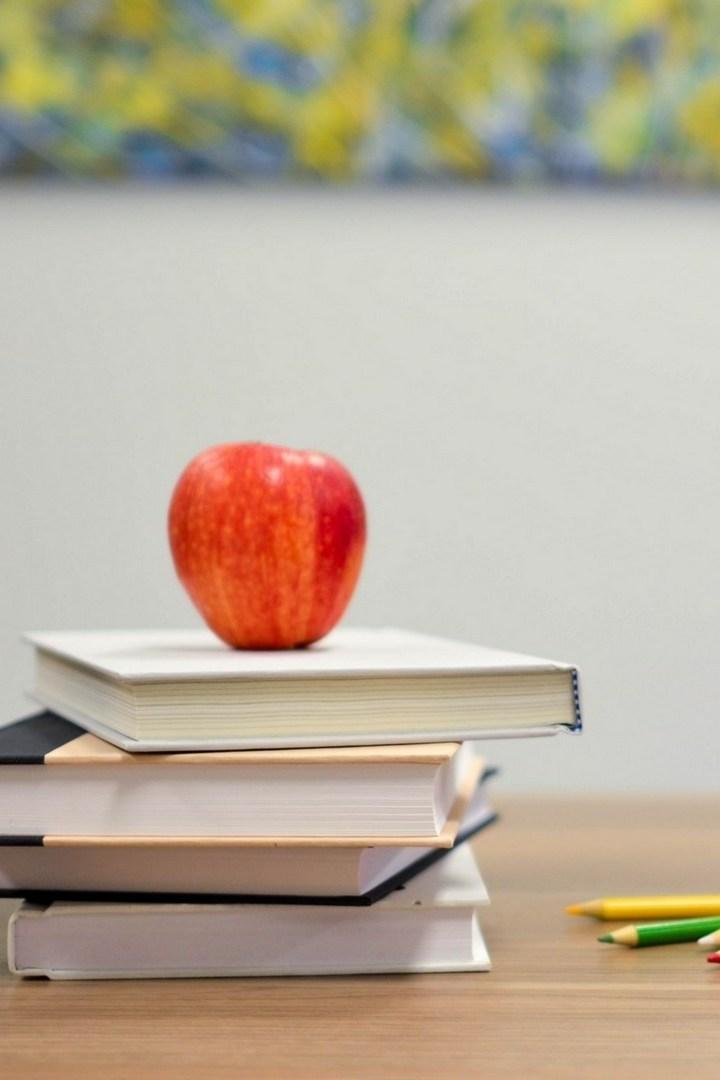 Задумчивая курица Новой Каледонии