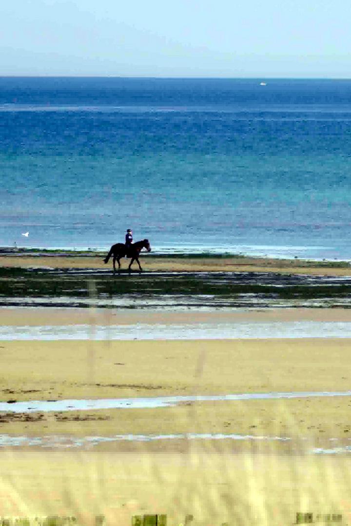 Перламутровый берег Нормандии