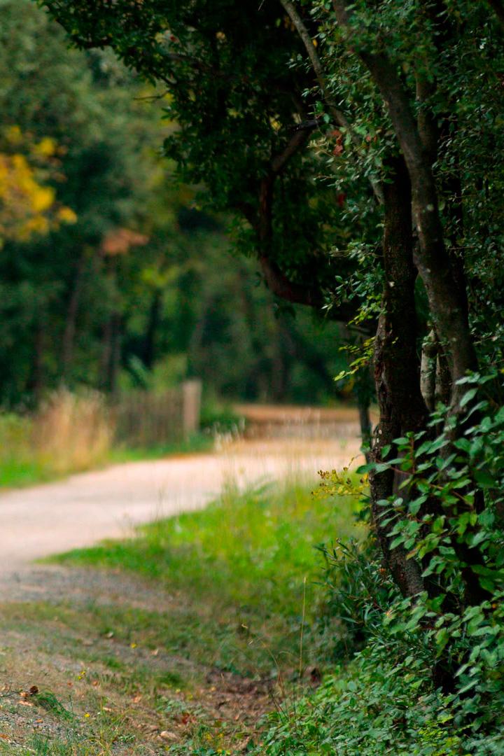 Побережье Лангедока в Окситании
