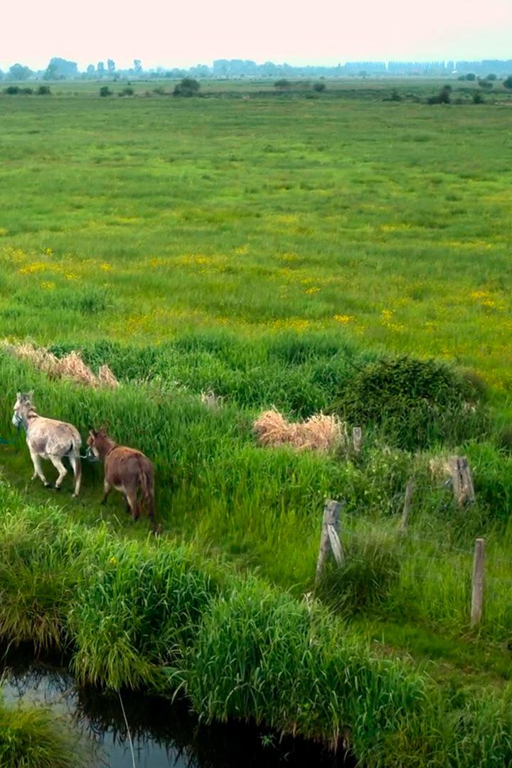 Марэ-Вернье в Нормандии