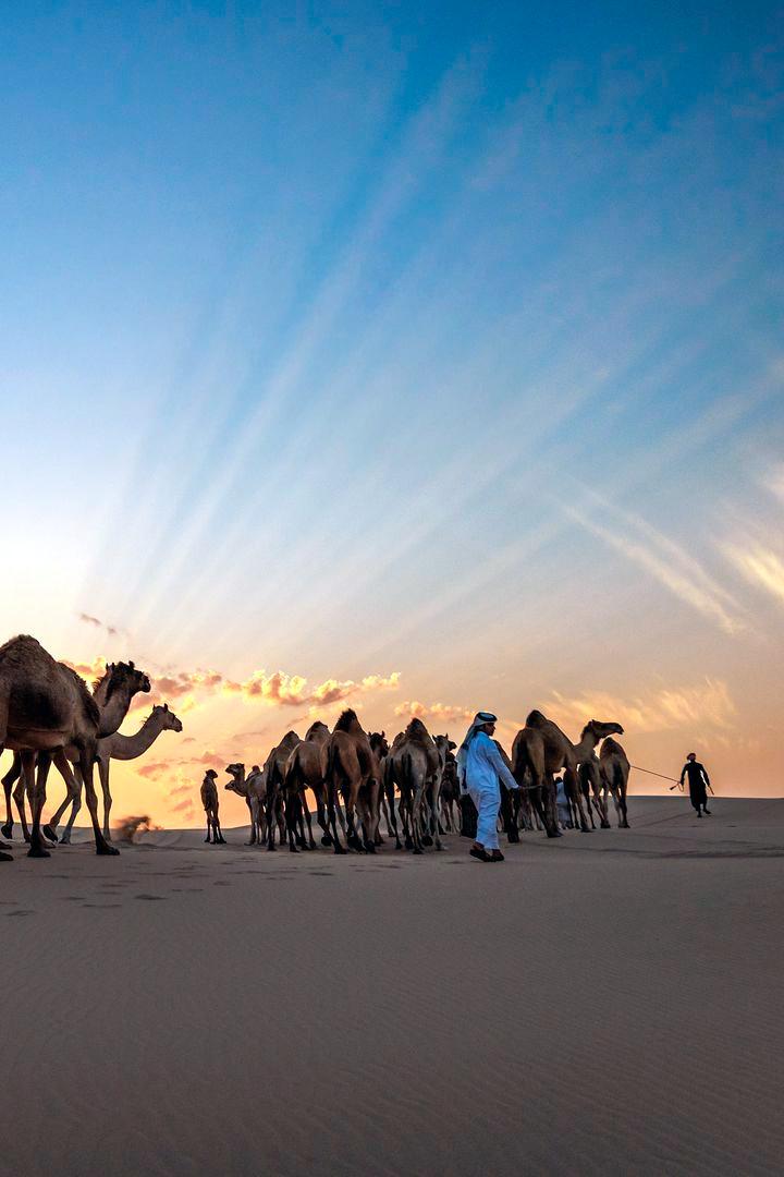 Природные заповедники Катара