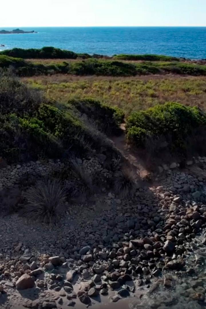 Корсиканская Кальви