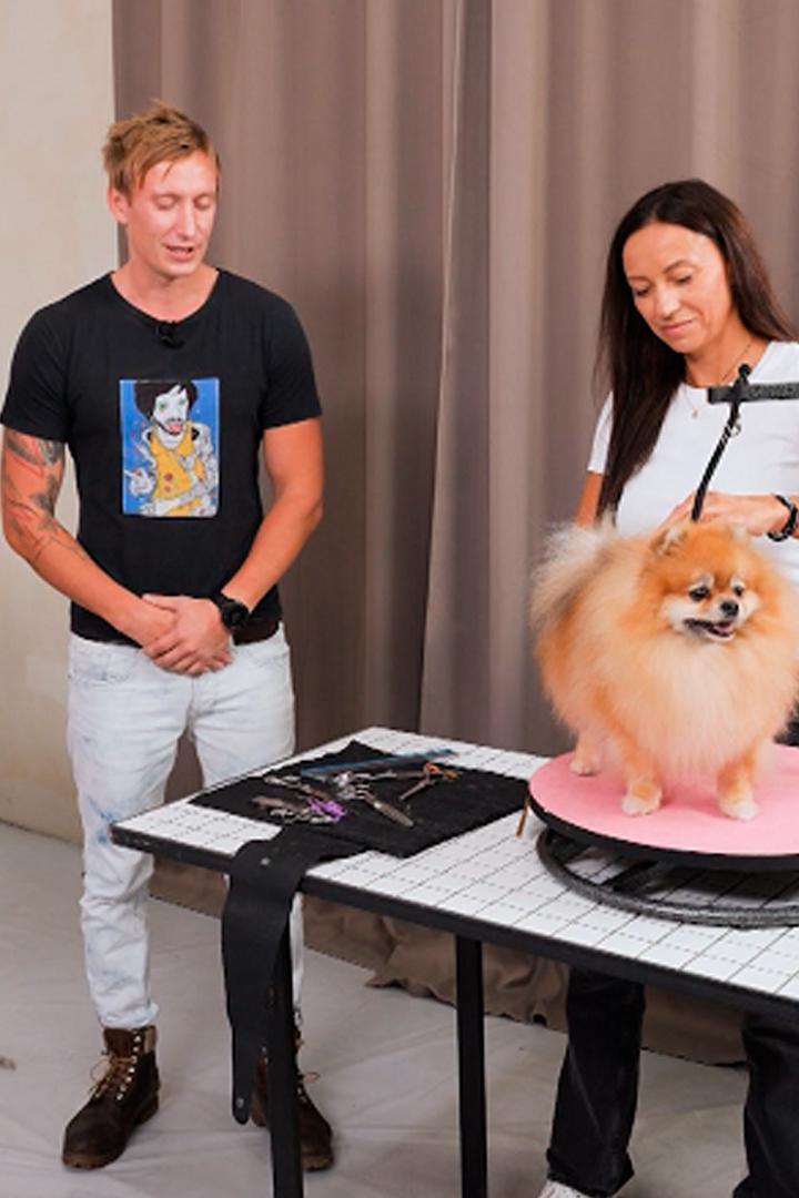 Битва грумеров