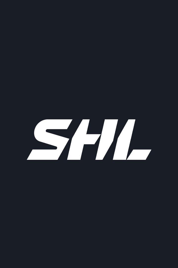 Хоккей Шведская Хоккейная Лига SHL. Плей-офф 2024/25. Раунд Плей-ин. Векшё Лейкерс - Эребру. Матч 3