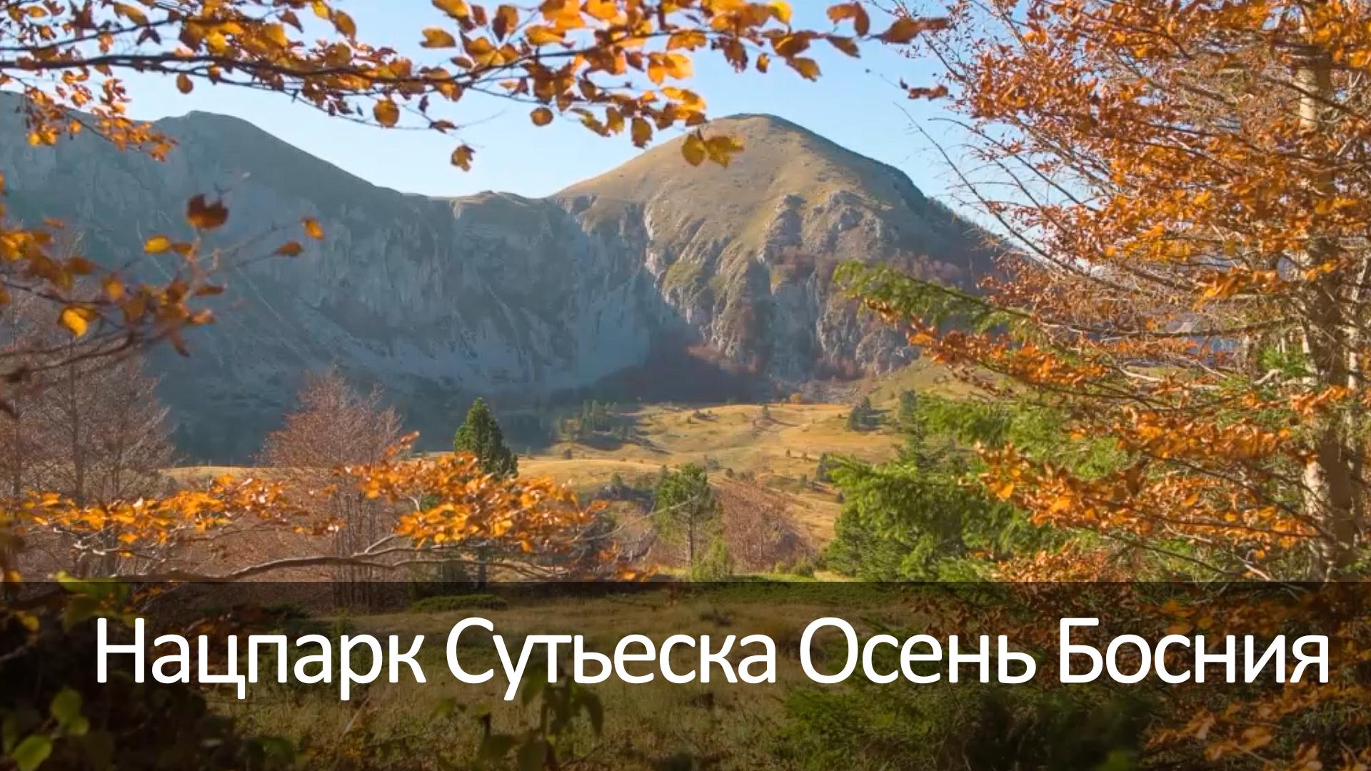 Нацпарк Сутьеска Осень Босния