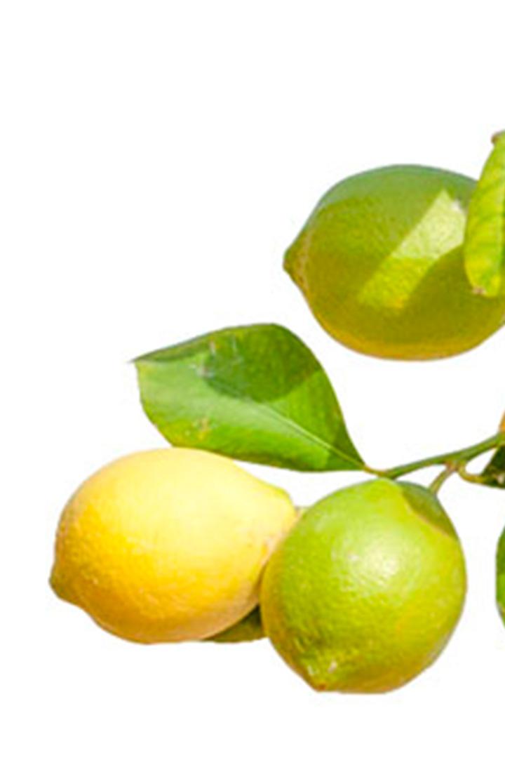 Испания: рай между двух миров