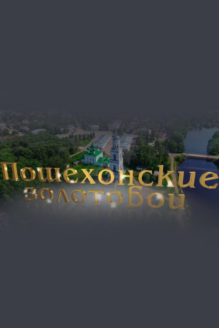 Пошехонские золотобои