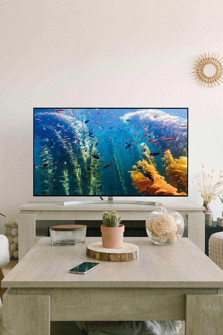 Лебеди на лесном озере