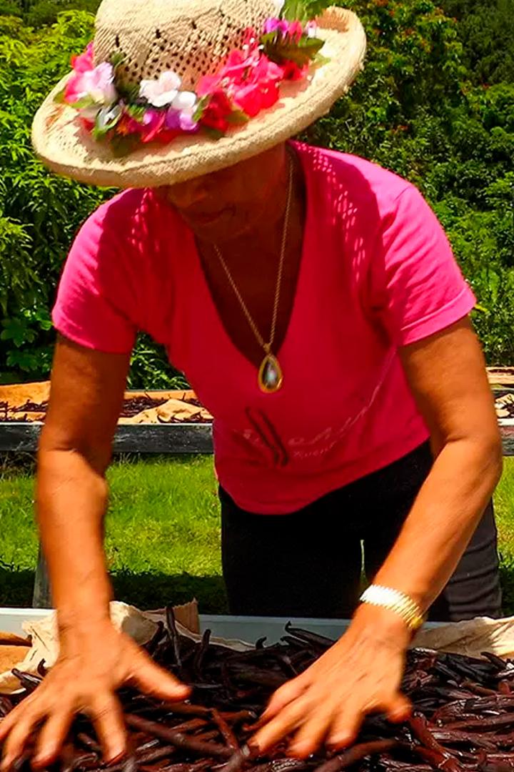 Искусство выращивать ваниль