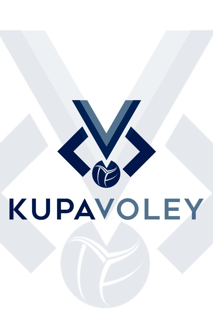 Волейбол. Кубок Турции. Финал. Мужчины. Халкбанк - Фенербахче