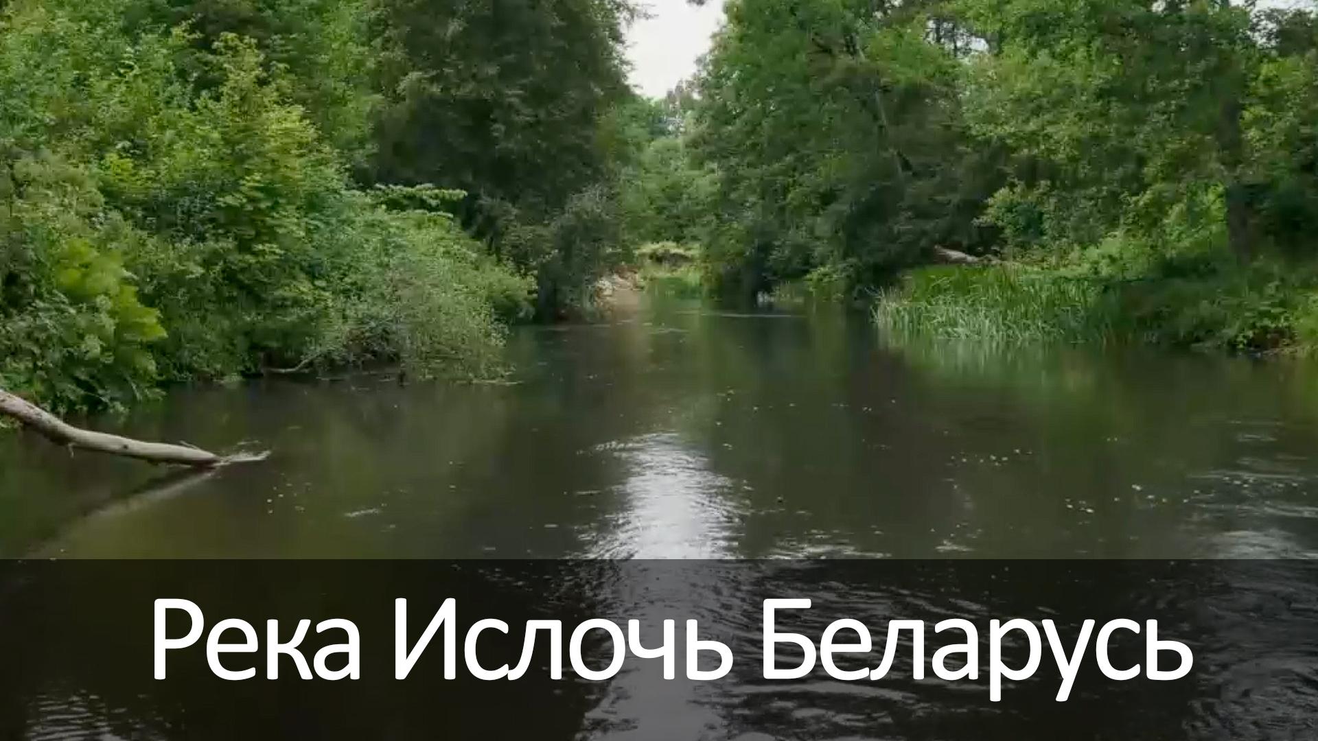 Река Ислочь Беларусь
