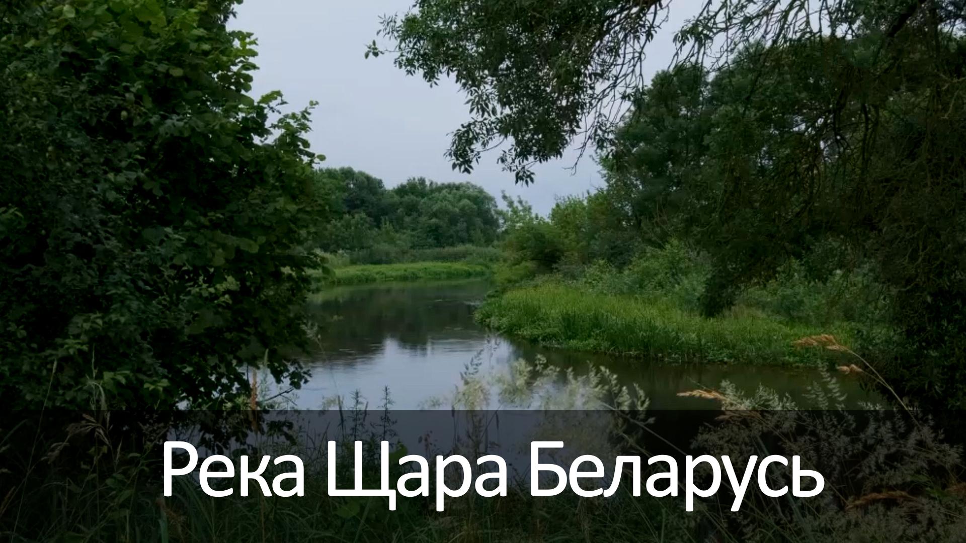 Река Щара Беларусь