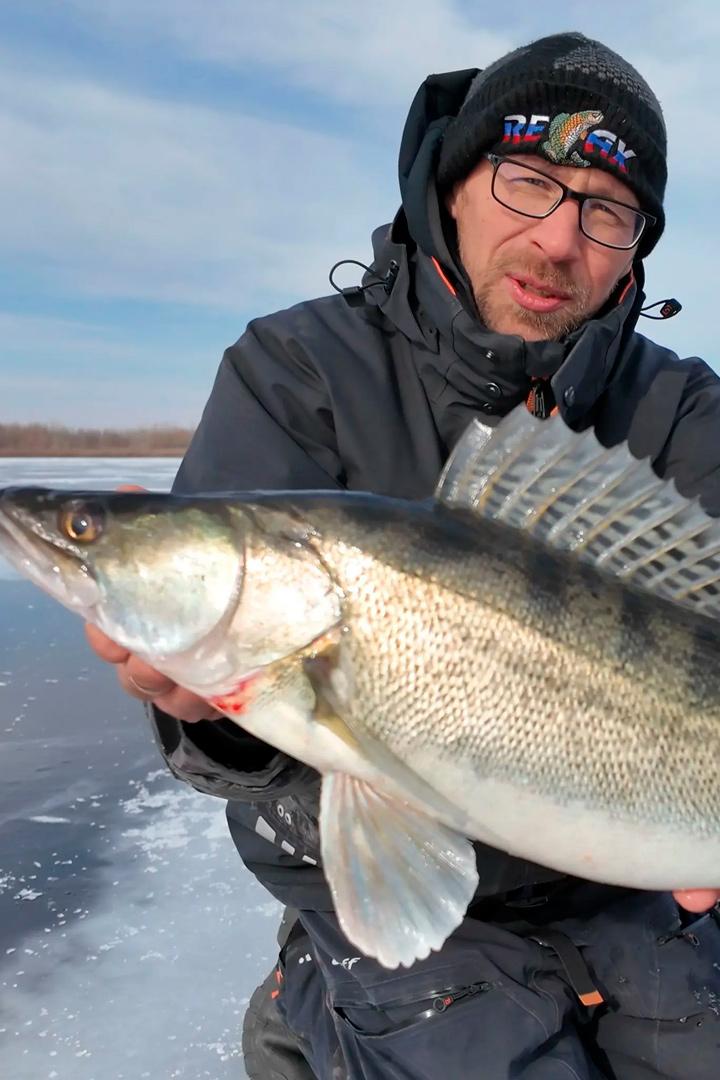 За судаком в город-герой Волгоград