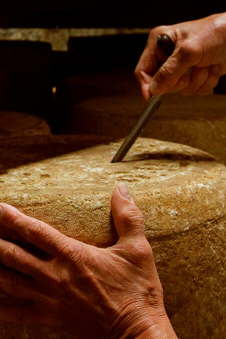 Искусство сыроделия