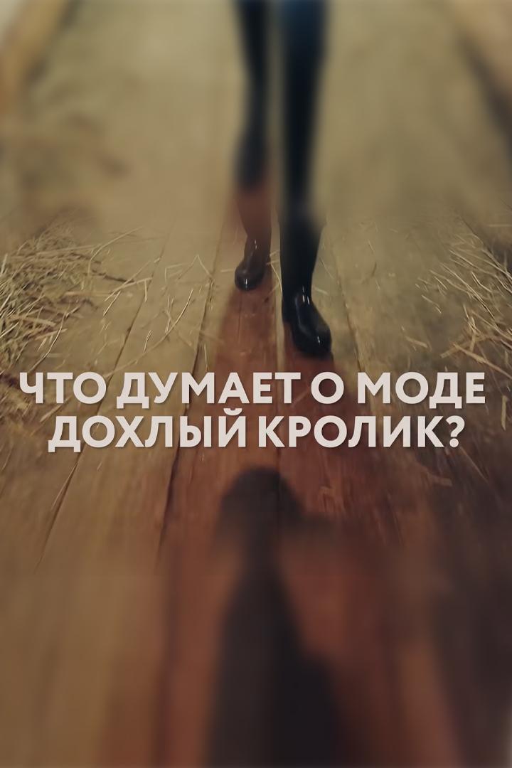 Что думает о моде дохлый кролик.