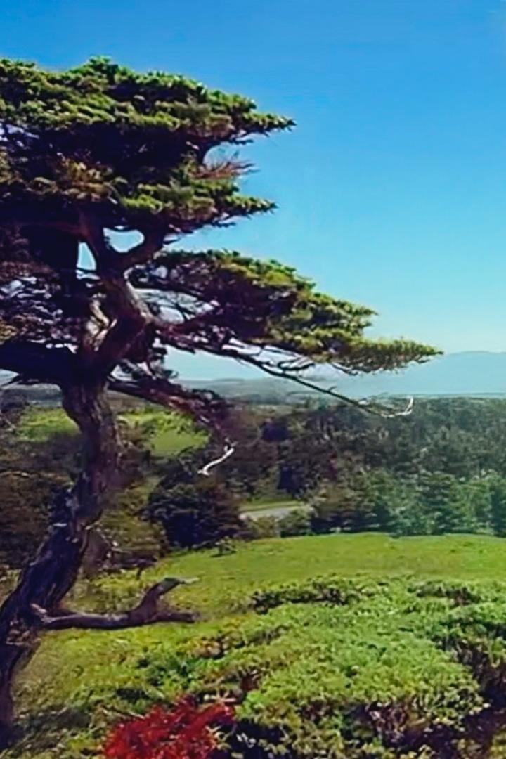 Место, где начинается утро. Курильские острова