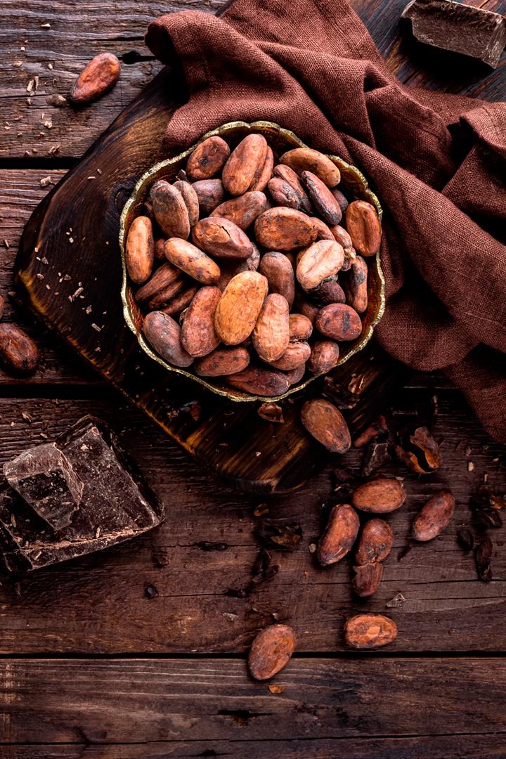 Искусство делать шоколад