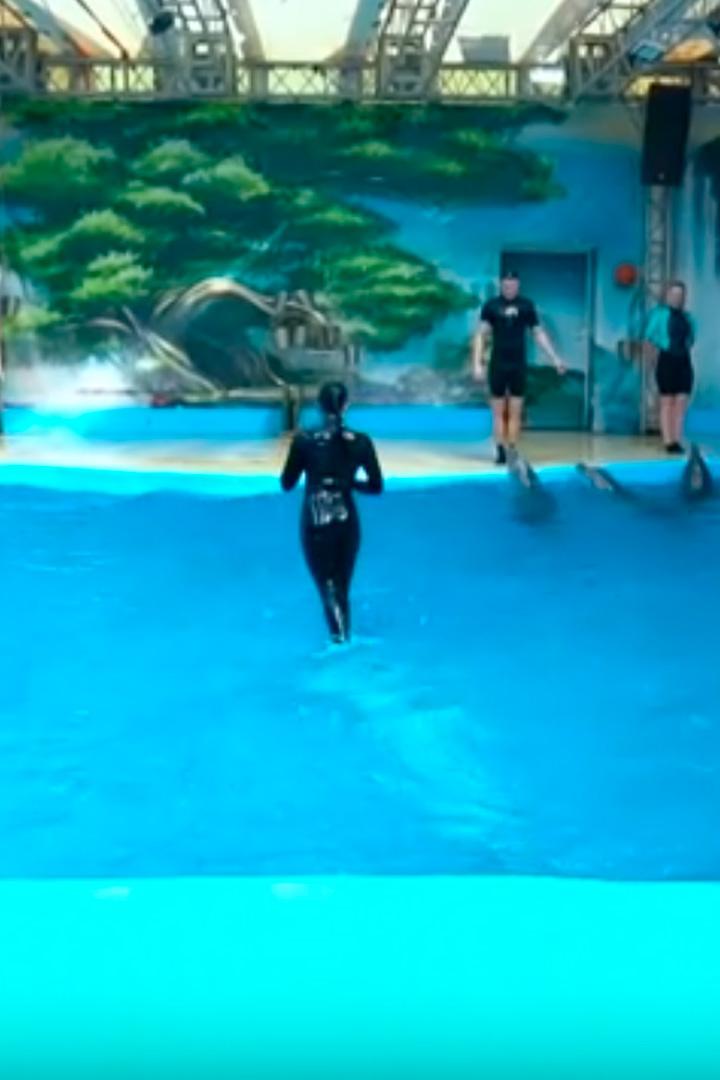 Тренер морских млекопитающих Коверзина