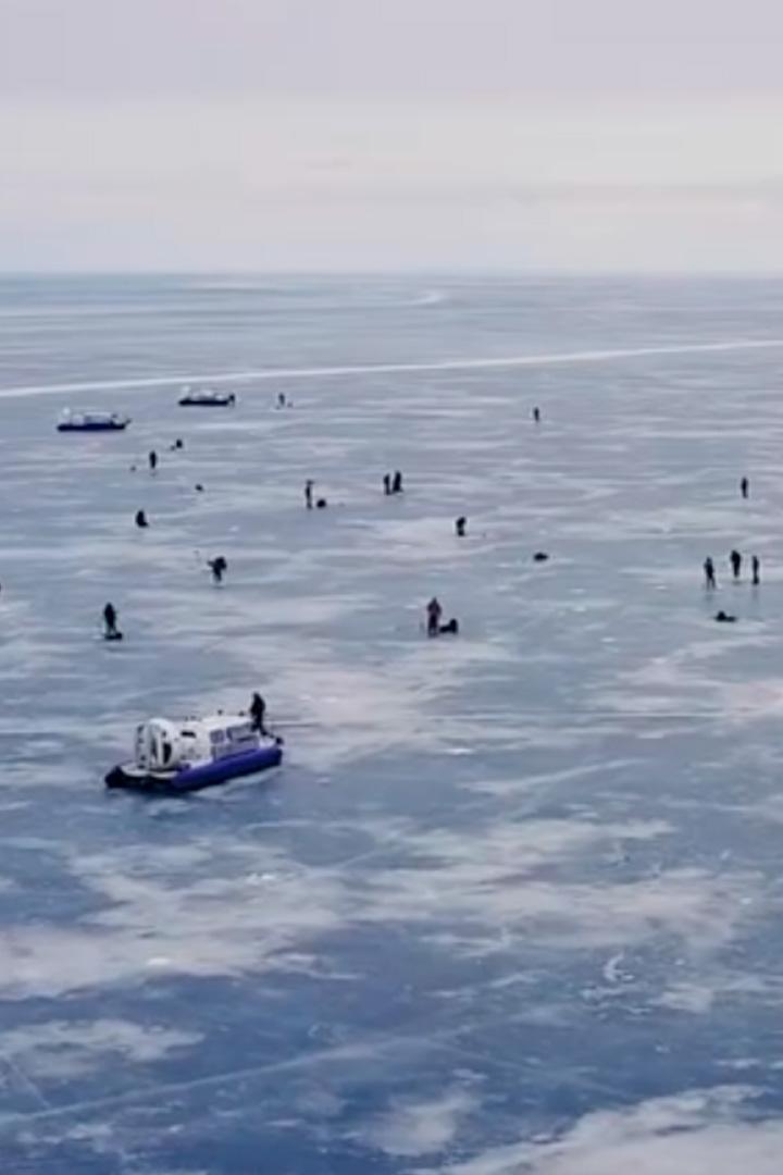 Рыбинка. Судак