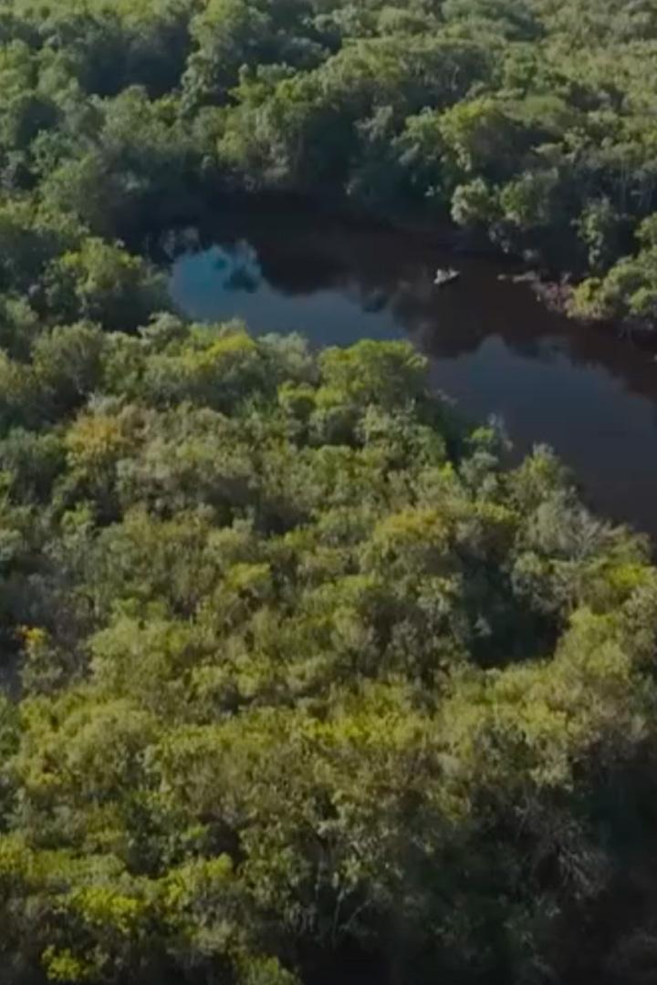 Рыбалка в Амазонии