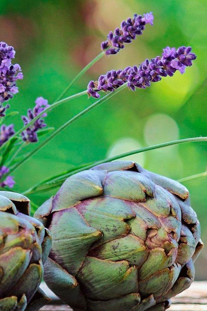 Артишок: вкусная сердцевина