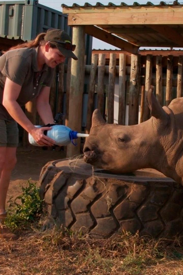 Африканская служба спасения