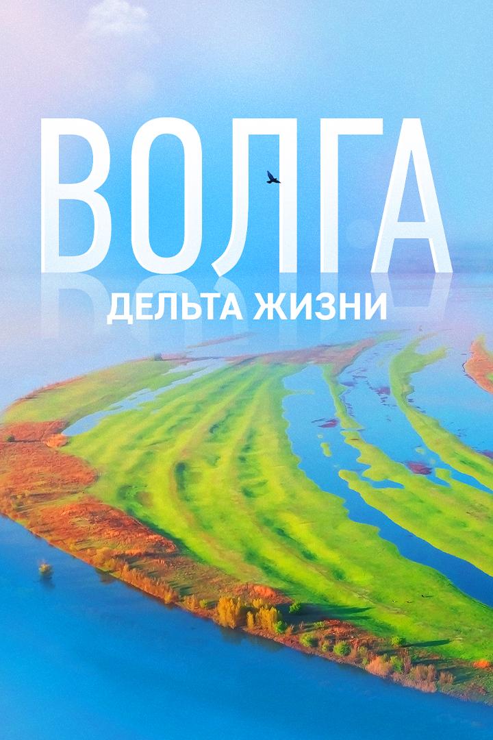 Волга-дельта жизни