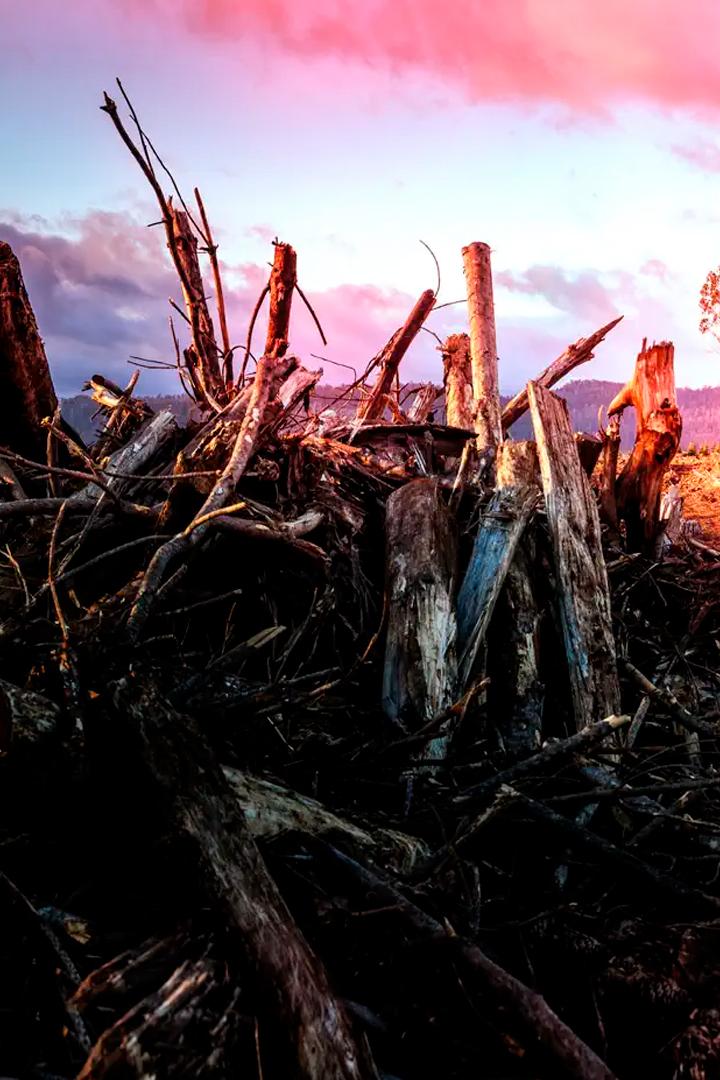 Атлас будущей Земли