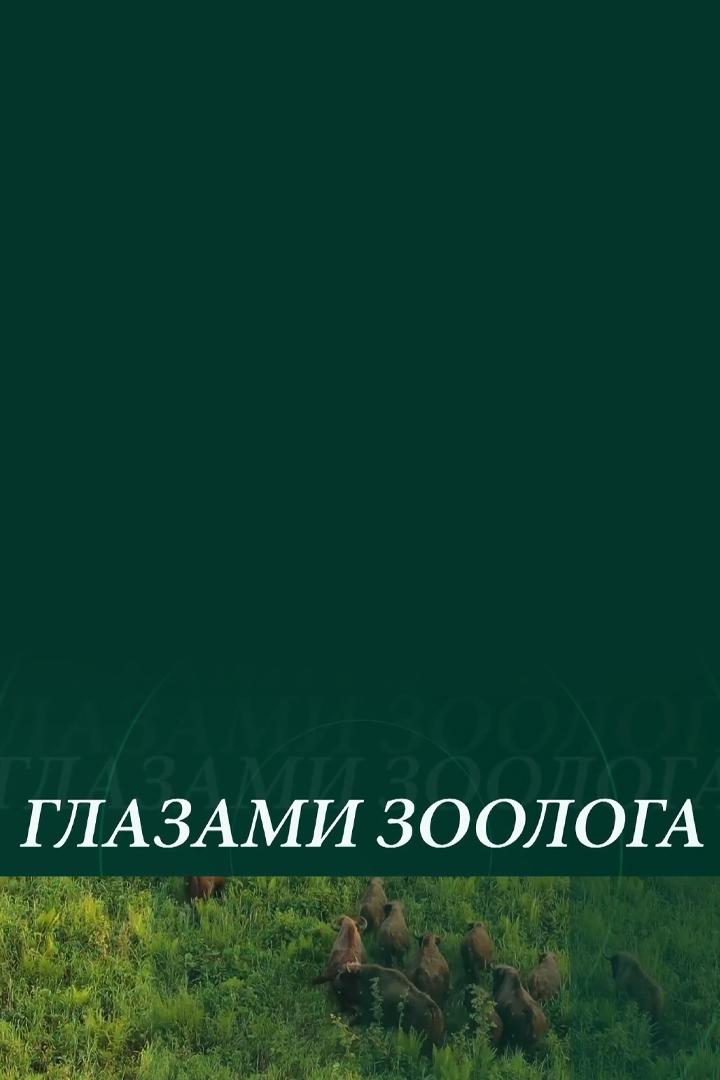Глазами зоолога