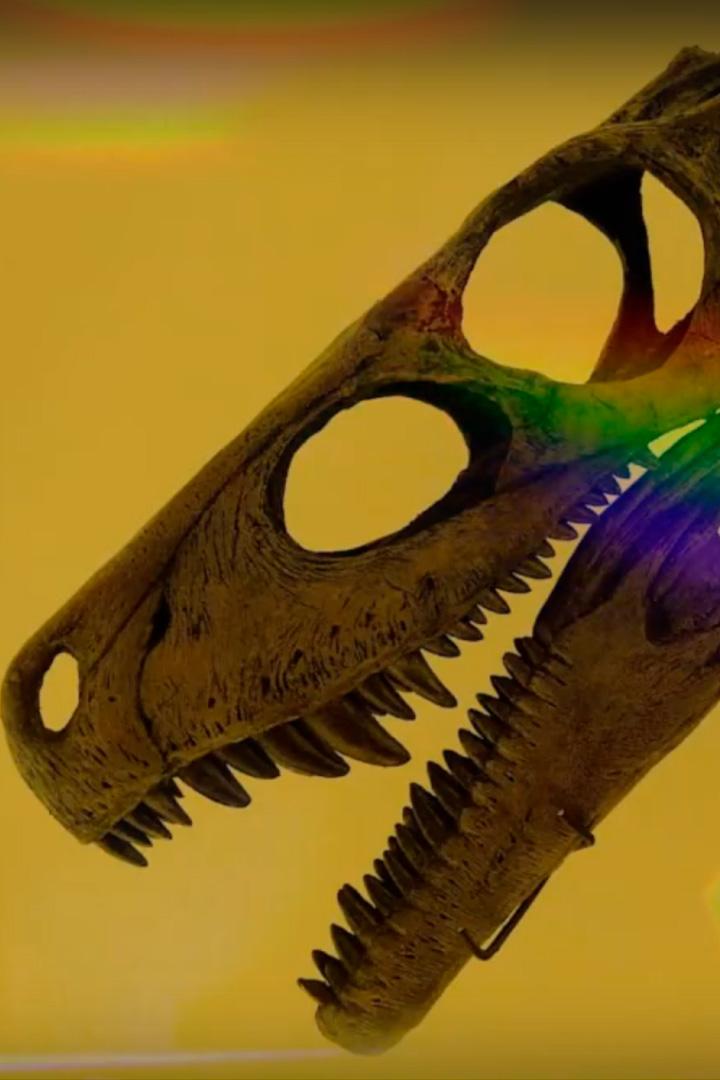 Динозавры. Как они исчезли