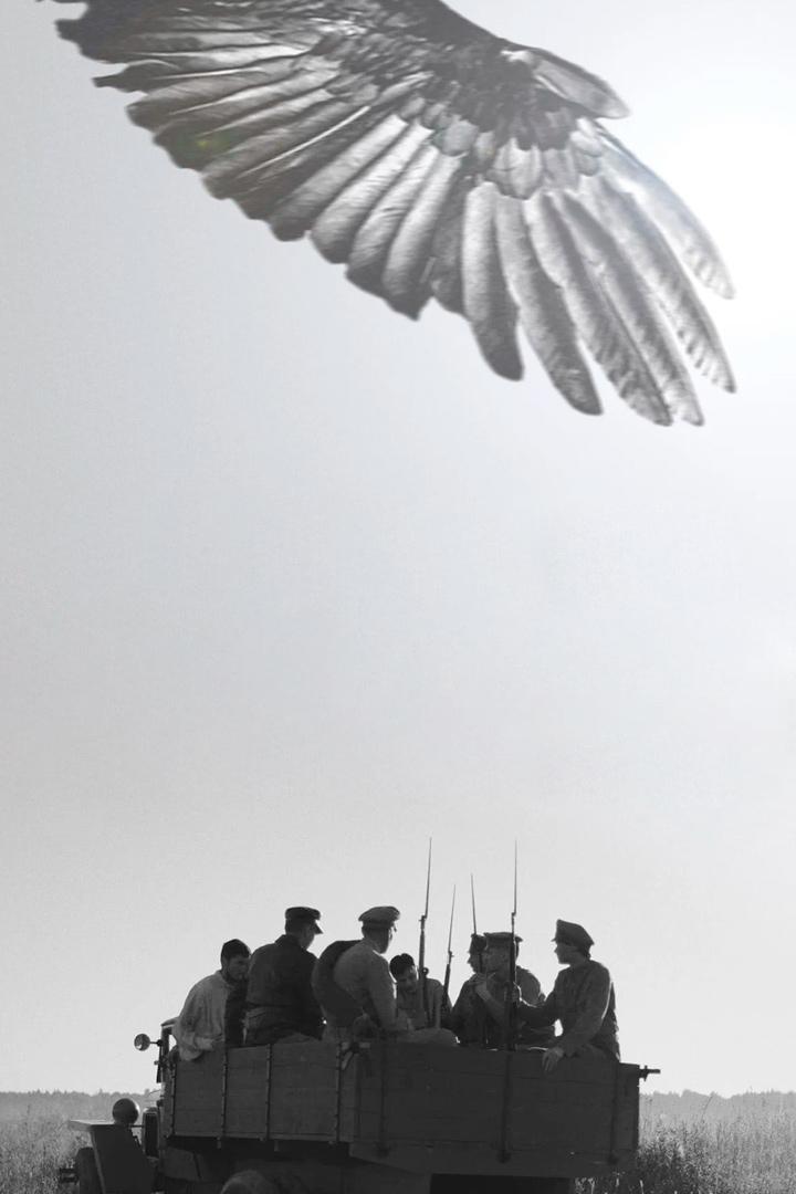 Контрапункт