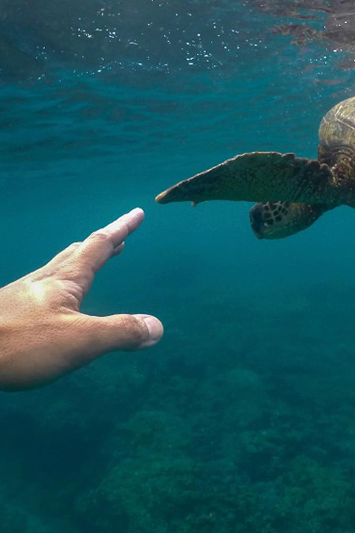 Властелины глубин