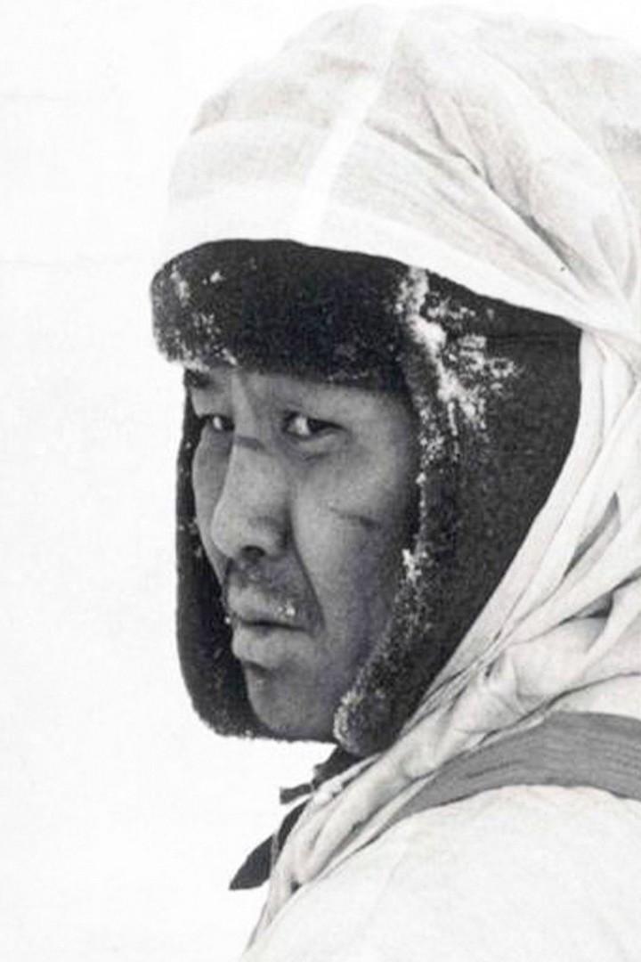 Журавли над Ильменем