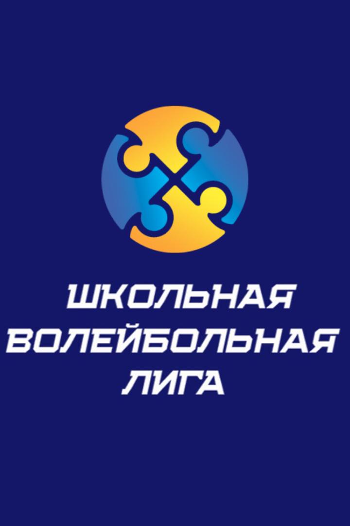 Волейбол. Школьная лига. Финал