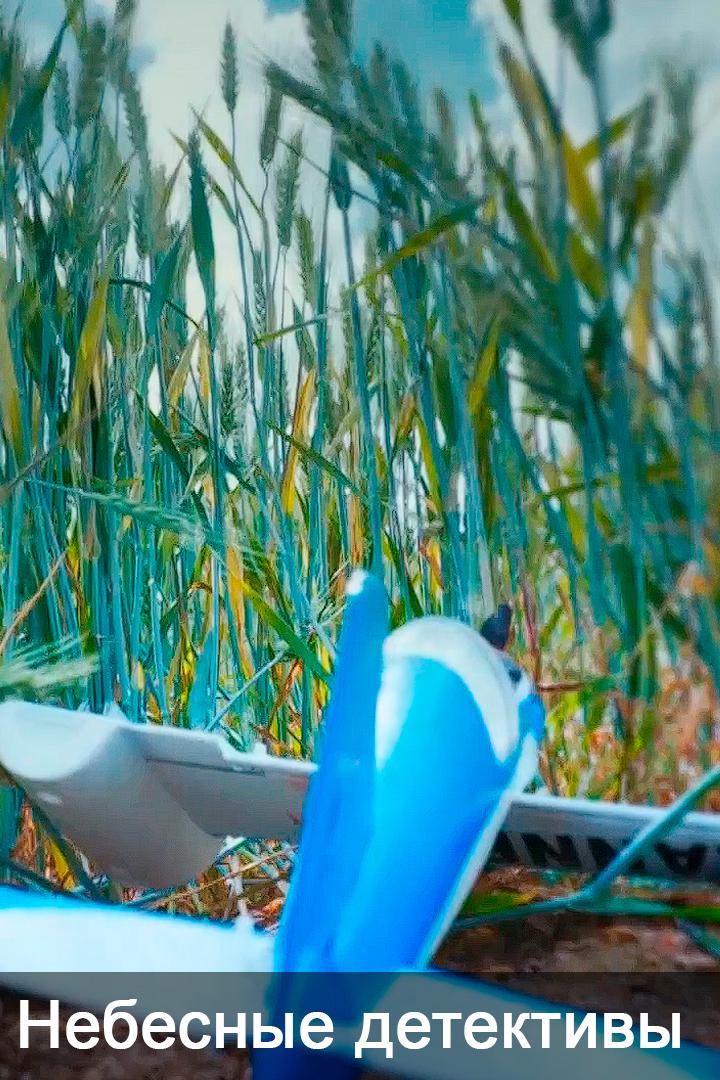 Небесные детективы