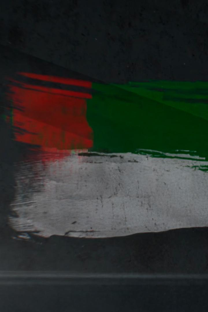 "Жизнь - это Родина!" Владислав Ардзинба