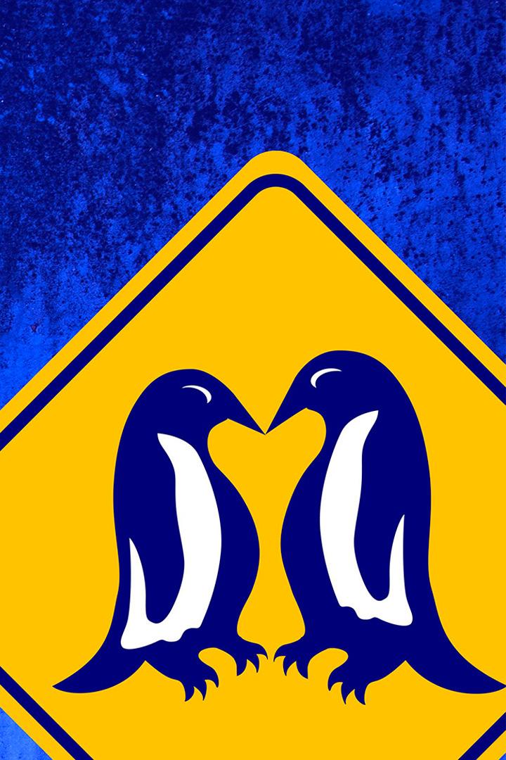 Остров любви маленьких пингвинов