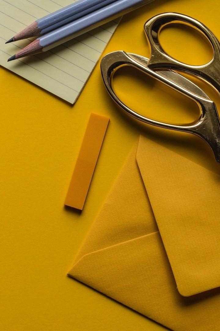 Владимирский тяжеловоз. История лошади