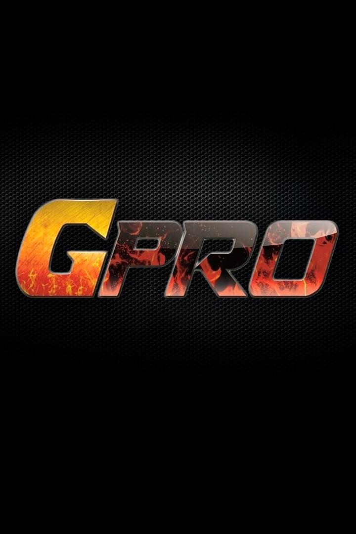 Кикбоксинг. Турнир GPRO-54