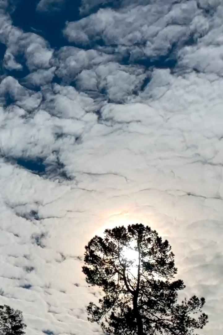 Где просто - там ангелов со сто