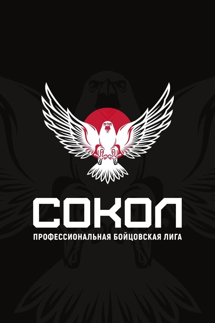 Бокс. Профессиональная бойцовская лига "Сокол". Руслан Проводников против Хосе Луиса Кастильо. Трансляция из Красноярска