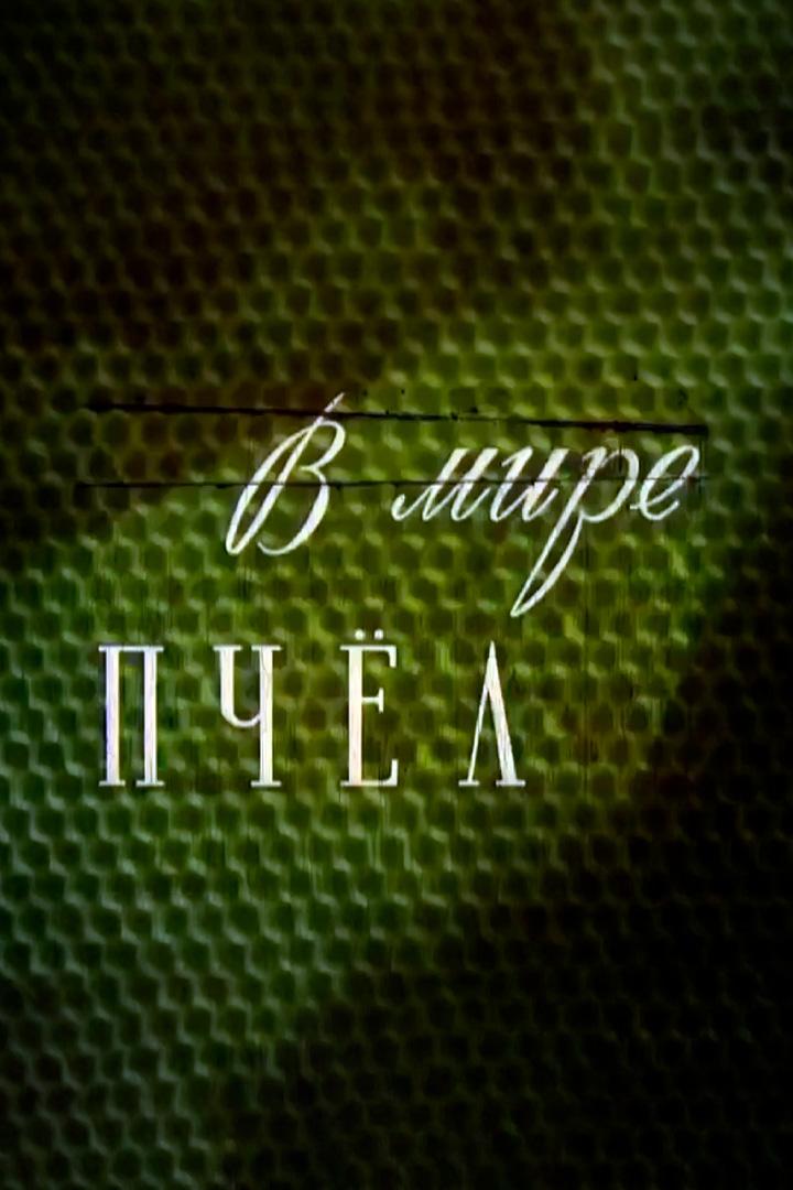 В мире пчёл